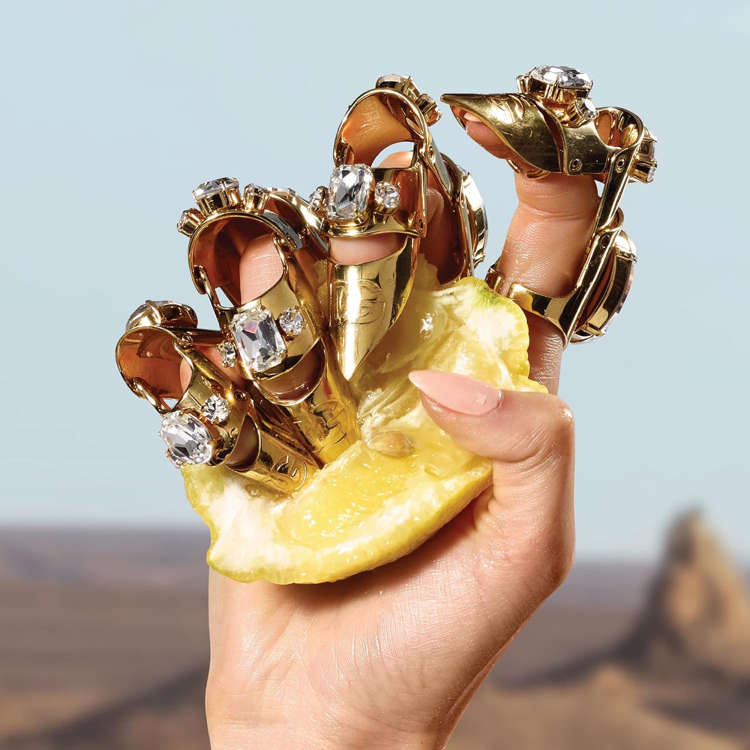 Dolce & Gabbana Queen